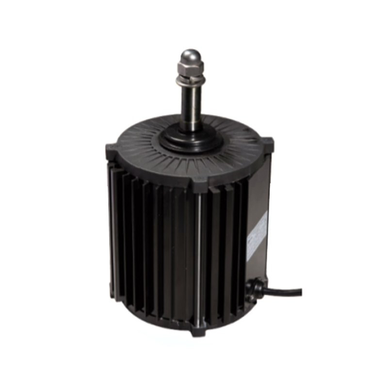 Aluminum Stretching Shell Three-Phase Asynchronous Motor