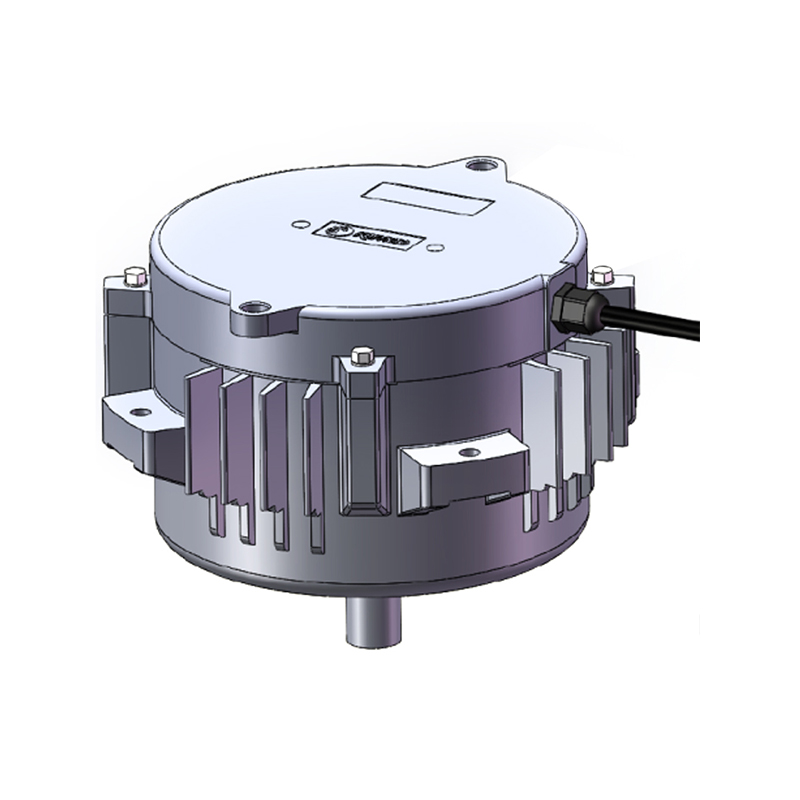 Aluminum Die-Casting Casing Three-Phase Asynchronous Motor 